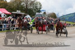 Dateiname=20251005_r04_141_R04_0217.jpg
Dateigröße=369KB
Abmessungen: 1000x667
hinzugefügt am: 06. Oktober 2025 20251005_r04_141_R04_0217.jpg