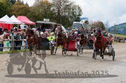 Dateiname=20251005_r04_143_R04_0219.jpg
Dateigröße=391KB
Abmessungen: 1000x667
hinzugefügt am: 06. Oktober 2025 20251005_r04_143_R04_0219.jpg