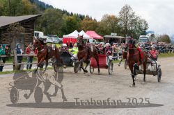 Dateiname=20251005_r04_147_R04_0223.jpg
Dateigröße=367KB
Abmessungen: 1000x667
hinzugefügt am: 06. Oktober 2025 20251005_r04_147_R04_0223.jpg