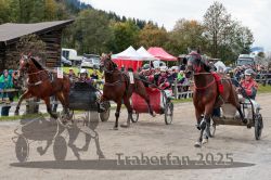 Dateiname=20251005_r04_148_R04_0224.jpg
Dateigröße=374KB
Abmessungen: 1000x667
hinzugefügt am: 06. Oktober 2025 20251005_r04_148_R04_0224.jpg