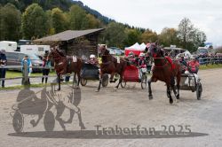 Dateiname=20251005_r04_149_R04_0225.jpg
Dateigröße=338KB
Abmessungen: 1000x667
hinzugefügt am: 06. Oktober 2025 20251005_r04_149_R04_0225.jpg