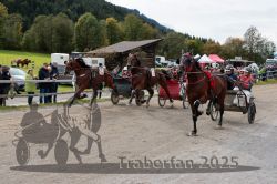 Dateiname=20251005_r04_150_R04_0226.jpg
Dateigröße=343KB
Abmessungen: 1000x667
hinzugefügt am: 06. Oktober 2025 20251005_r04_150_R04_0226.jpg