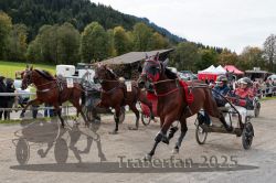 Dateiname=20251005_r04_151_R04_0227.jpg
Dateigröße=341KB
Abmessungen: 1000x667
hinzugefügt am: 06. Oktober 2025 20251005_r04_151_R04_0227.jpg