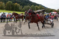 Dateiname=20251005_r04_152_R04_0228.jpg
Dateigröße=332KB
Abmessungen: 1000x667
hinzugefügt am: 06. Oktober 2025 20251005_r04_152_R04_0228.jpg