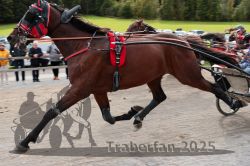 Dateiname=20251005_r04_154_R04_0230.jpg
Dateigröße=293KB
Abmessungen: 1000x667
hinzugefügt am: 06. Oktober 2025 20251005_r04_154_R04_0230.jpg