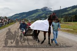 Dateiname=20251005_r04_156_R04_0235.jpg
Dateigröße=297KB
Abmessungen: 1000x667
hinzugefügt am: 06. Oktober 2025 20251005_r04_156_R04_0235.jpg