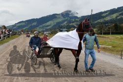 Dateiname=20251005_r04_157_R04_0236.jpg
Dateigröße=304KB
Abmessungen: 1000x667
hinzugefügt am: 06. Oktober 2025 20251005_r04_157_R04_0236.jpg