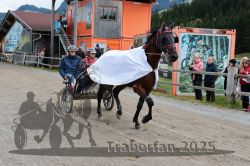 Dateiname=20251005_r04_179_R04_0265.jpg
Dateigröße=349KB
Abmessungen: 1000x667
hinzugefügt am: 06. Oktober 2025 20251005_r04_179_R04_0265.jpg