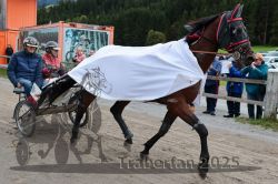 Dateiname=20251005_r04_183_R04_0269.jpg
Dateigröße=313KB
Abmessungen: 1000x667
hinzugefügt am: 06. Oktober 2025 20251005_r04_183_R04_0269.jpg