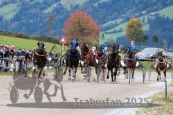 Dateiname=20251005_r05_133_R05_0199.jpg
Dateigröße=340KB
Abmessungen: 1000x667
hinzugefügt am: 06. Oktober 2025 20251005_r05_133_R05_0199.jpg