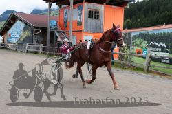 Dateiname=20251005_r07_005_R07_0014.jpg
Dateigröße=337KB
Abmessungen: 1000x667
hinzugefügt am: 06. Oktober 2025 20251005_r07_005_R07_0014.jpg