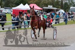 Dateiname=20251005_r07_019_R07_0048.jpg
Dateigröße=285KB
Abmessungen: 1000x667
hinzugefügt am: 06. Oktober 2025 20251005_r07_019_R07_0048.jpg