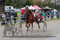 Dateiname=20251005_r07_020_R07_0049.jpg
Dateigröße=354KB
Abmessungen: 1000x667
hinzugefügt am: 06. Oktober 2025 20251005_r07_020_R07_0049.jpg