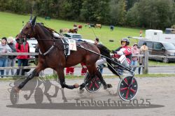 Dateiname=20251005_r07_040_R07_0080.jpg
Dateigröße=312KB
Abmessungen: 1000x667
hinzugefügt am: 06. Oktober 2025 20251005_r07_040_R07_0080.jpg