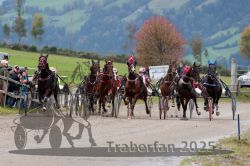 Dateiname=20251005_r07_047_R07_0089.jpg
Dateigröße=311KB
Abmessungen: 1000x667
hinzugefügt am: 06. Oktober 2025 20251005_r07_047_R07_0089.jpg