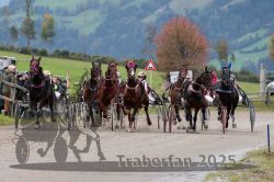 Dateiname=20251005_r07_049_R07_0092.jpg
Dateigröße=307KB
Abmessungen: 1000x667
hinzugefügt am: 06. Oktober 2025 20251005_r07_049_R07_0092.jpg