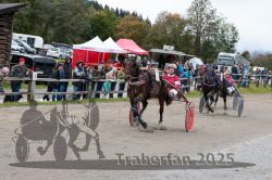 Dateiname=20251005_r07_140_R07_0218.jpg
Dateigröße=353KB
Abmessungen: 1000x667
hinzugefügt am: 06. Oktober 2025 20251005_r07_140_R07_0218.jpg