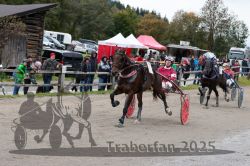 Dateiname=20251005_r07_141_R07_0219.jpg
Dateigröße=354KB
Abmessungen: 1000x667
hinzugefügt am: 06. Oktober 2025 20251005_r07_141_R07_0219.jpg
