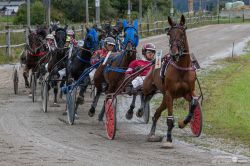 Dateiname=251005_0103_ASb.jpg
Dateigröße=2424KB
Abmessungen: 1920x1280
hinzugefügt am: 06. Oktober 2025 251005_0103_ASb.jpg