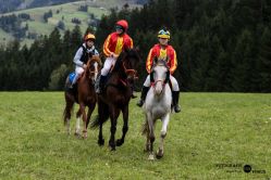 Dateiname=251005Angela-5570_Kopie.jpg
Dateigröße=369KB
Abmessungen: 1620x1080
hinzugefügt am: 06. Oktober 2025 251005Angela-5570_Kopie.jpg