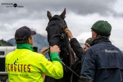 Dateiname=251005Angela-5576_Kopie.jpg
Dateigröße=242KB
Abmessungen: 1620x1080
hinzugefügt am: 06. Oktober 2025 251005Angela-5576_Kopie.jpg