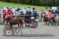 Dateiname=20251005_ver_060_R06_0060.jpg
Dateigröße=351KB
Abmessungen: 1000x667
hinzugefügt am: 06. Oktober 2025 20251005_ver_060_R06_0060.jpg