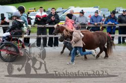 Dateiname=20251005_ver_068_R06_0068.jpg
Dateigröße=336KB
Abmessungen: 1000x667
hinzugefügt am: 06. Oktober 2025 20251005_ver_068_R06_0068.jpg