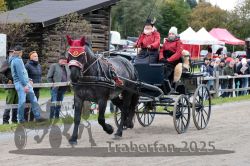 Dateiname=20251005_ver_074_R06_0074.jpg
Dateigröße=377KB
Abmessungen: 1000x667
hinzugefügt am: 06. Oktober 2025 20251005_ver_074_R06_0074.jpg