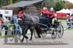 Dateiname=20251005_ver_076_R06_0076.jpg
Dateigröße=386KB
Abmessungen: 1000x667
hinzugefügt am: 06. Oktober 2025 20251005_ver_076_R06_0076.jpg