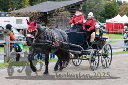 Dateiname=20251005_ver_077_R06_0077.jpg
Dateigröße=380KB
Abmessungen: 1000x667
hinzugefügt am: 06. Oktober 2025 20251005_ver_077_R06_0077.jpg