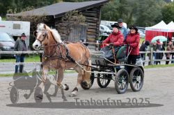 Dateiname=20251005_ver_090_R06_0090.jpg
Dateigröße=353KB
Abmessungen: 1000x667
hinzugefügt am: 06. Oktober 2025 20251005_ver_090_R06_0090.jpg