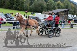 Dateiname=20251005_ver_093_R06_0093.jpg
Dateigröße=354KB
Abmessungen: 1000x667
hinzugefügt am: 06. Oktober 2025 20251005_ver_093_R06_0093.jpg