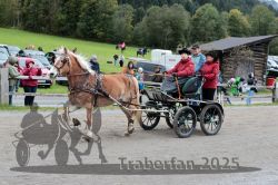 Dateiname=20251005_ver_094_R06_0094.jpg
Dateigröße=353KB
Abmessungen: 1000x667
hinzugefügt am: 06. Oktober 2025 20251005_ver_094_R06_0094.jpg