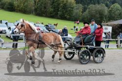 Dateiname=20251005_ver_096_R06_0096.jpg
Dateigröße=352KB
Abmessungen: 1000x667
hinzugefügt am: 06. Oktober 2025 20251005_ver_096_R06_0096.jpg