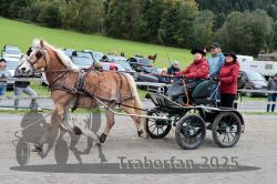 Dateiname=20251005_ver_097_R06_0097.jpg
Dateigröße=368KB
Abmessungen: 1000x667
hinzugefügt am: 06. Oktober 2025 20251005_ver_097_R06_0097.jpg