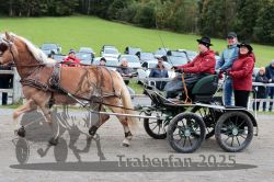 Dateiname=20251005_ver_100_R06_0100.jpg
Dateigröße=346KB
Abmessungen: 1000x667
hinzugefügt am: 06. Oktober 2025 20251005_ver_100_R06_0100.jpg