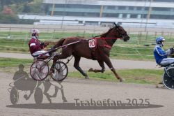 Dateiname=20251009_qu1_018_QU1_0090.jpg
Dateigröße=253KB
Abmessungen: 1000x667
hinzugefügt am: 09. Oktober 2025 20251009_qu1_018_QU1_0090.jpg