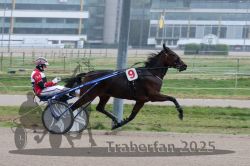 Dateiname=20251009_qu1_019_QU1_0096.jpg
Dateigröße=267KB
Abmessungen: 1000x667
hinzugefügt am: 09. Oktober 2025 20251009_qu1_019_QU1_0096.jpg