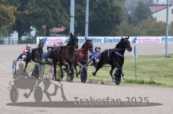 Dateiname=20251009_qu1_027_QU1_0135.jpg
Dateigröße=292KB
Abmessungen: 1000x667
hinzugefügt am: 09. Oktober 2025 20251009_qu1_027_QU1_0135.jpg