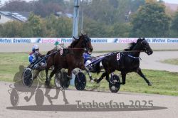 Dateiname=20251009_qu1_030_QU1_0153.jpg
Dateigröße=287KB
Abmessungen: 1000x667
hinzugefügt am: 09. Oktober 2025 20251009_qu1_030_QU1_0153.jpg