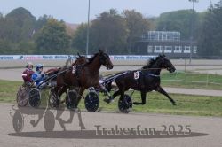 Dateiname=20251009_qu1_031_QU1_0160.jpg
Dateigröße=248KB
Abmessungen: 1000x667
hinzugefügt am: 09. Oktober 2025 20251009_qu1_031_QU1_0160.jpg