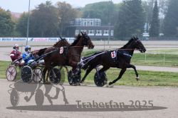 Dateiname=20251009_qu1_032_QU1_0163.jpg
Dateigröße=285KB
Abmessungen: 1000x667
hinzugefügt am: 09. Oktober 2025 20251009_qu1_032_QU1_0163.jpg