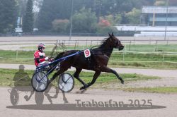 Dateiname=20251009_qu1_034_QU1_0168.jpg
Dateigröße=276KB
Abmessungen: 1000x667
hinzugefügt am: 09. Oktober 2025 20251009_qu1_034_QU1_0168.jpg