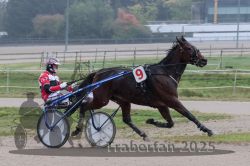 Dateiname=20251009_qu1_035_QU1_0169.jpg
Dateigröße=266KB
Abmessungen: 1000x667
hinzugefügt am: 09. Oktober 2025 20251009_qu1_035_QU1_0169.jpg