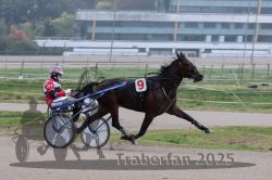 Dateiname=20251009_qu1_036_QU1_0172.jpg
Dateigröße=254KB
Abmessungen: 1000x667
hinzugefügt am: 09. Oktober 2025 20251009_qu1_036_QU1_0172.jpg