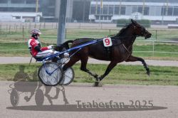 Dateiname=20251009_qu1_038_QU1_0179.jpg
Dateigröße=265KB
Abmessungen: 1000x667
hinzugefügt am: 09. Oktober 2025 20251009_qu1_038_QU1_0179.jpg