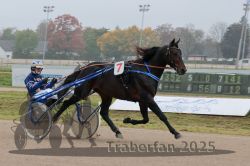 Dateiname=20251009_qu2_001_QU2_0002.jpg
Dateigröße=243KB
Abmessungen: 1000x667
hinzugefügt am: 09. Oktober 2025 20251009_qu2_001_QU2_0002.jpg