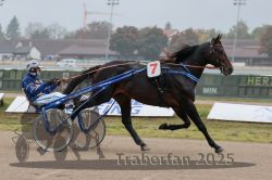 Dateiname=20251009_qu2_003_QU2_0010.jpg
Dateigröße=245KB
Abmessungen: 1000x667
hinzugefügt am: 09. Oktober 2025 20251009_qu2_003_QU2_0010.jpg