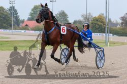 Dateiname=20251009_qu2_006_QU2_0021.jpg
Dateigröße=279KB
Abmessungen: 1000x667
hinzugefügt am: 09. Oktober 2025 20251009_qu2_006_QU2_0021.jpg