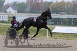 Dateiname=20251009_qu2_007_QU2_0027.jpg
Dateigröße=259KB
Abmessungen: 1000x667
hinzugefügt am: 09. Oktober 2025 20251009_qu2_007_QU2_0027.jpg